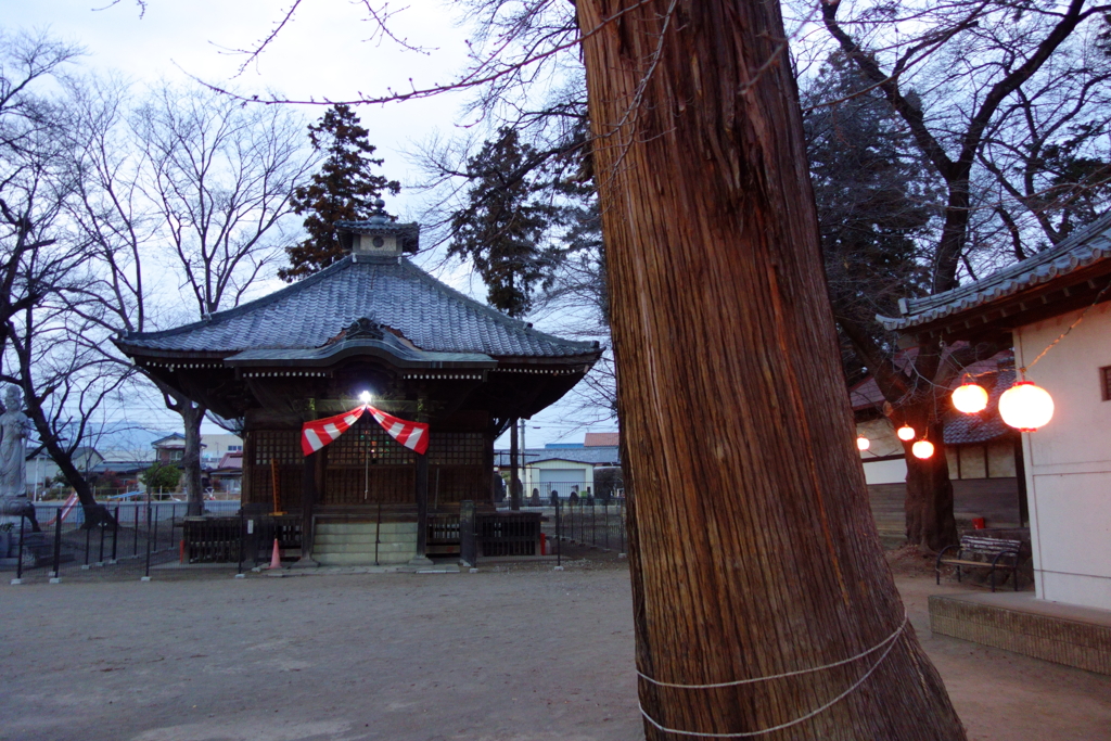 観音堂と御神木