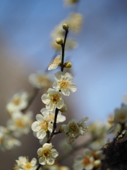 山際公園
