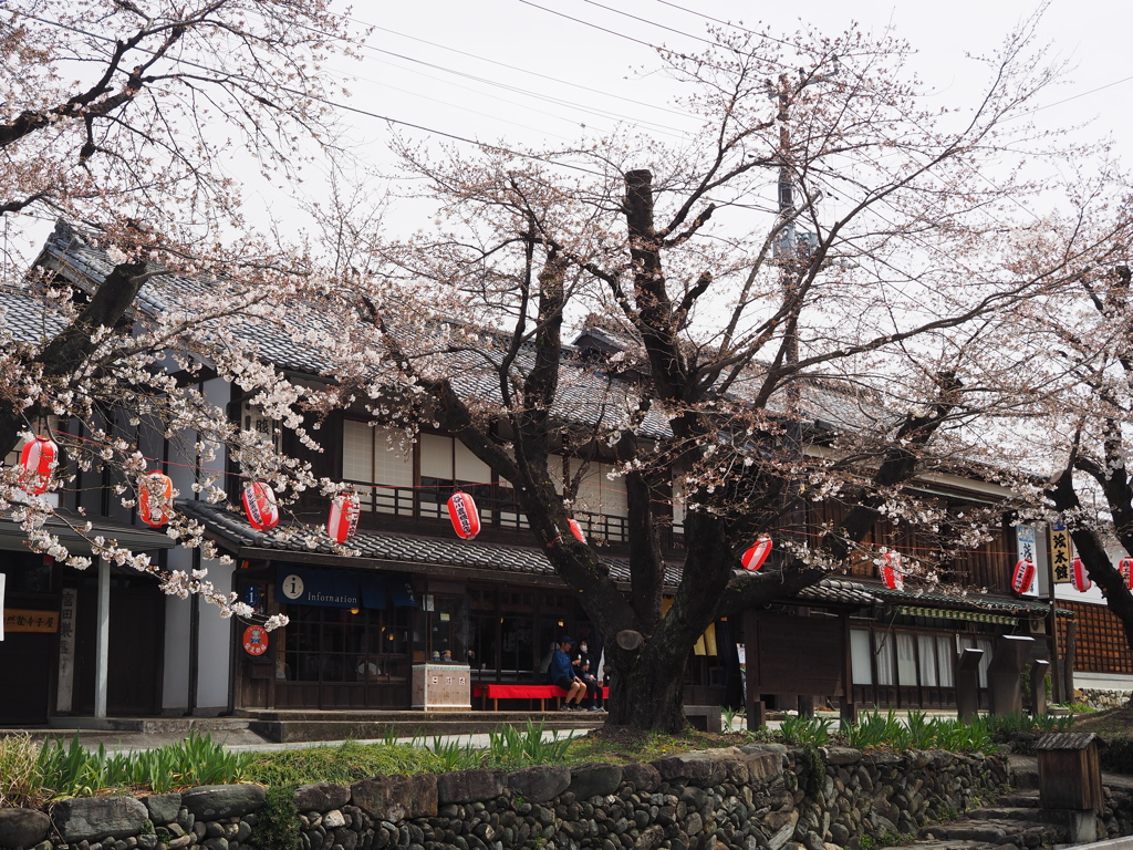 城下町小幡