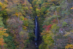 滝と紅葉
