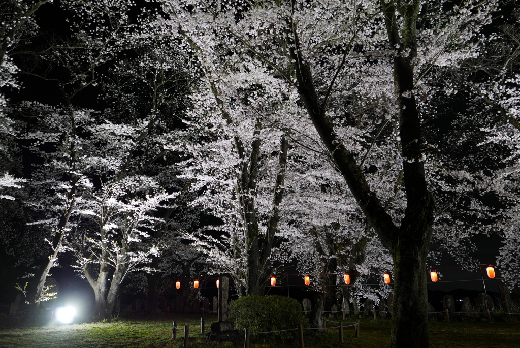 雪夜のよう