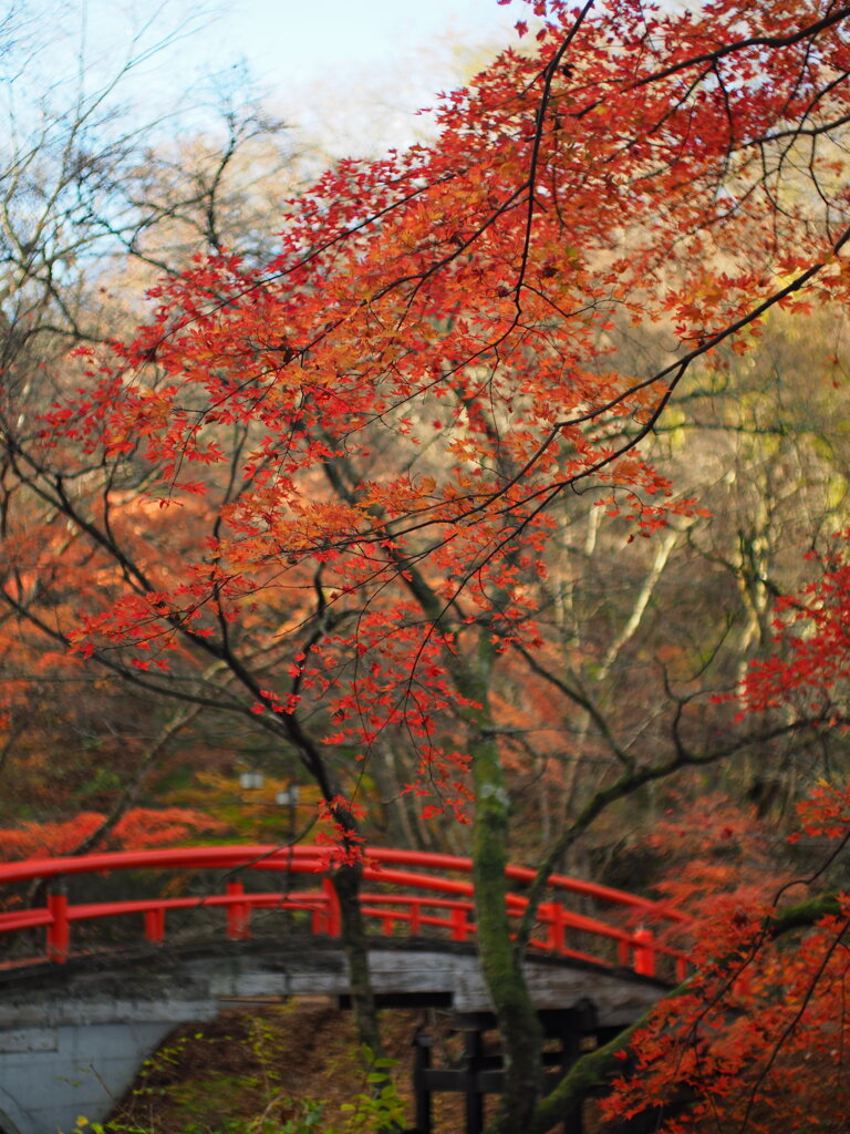 河鹿橋