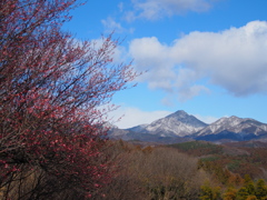 季節