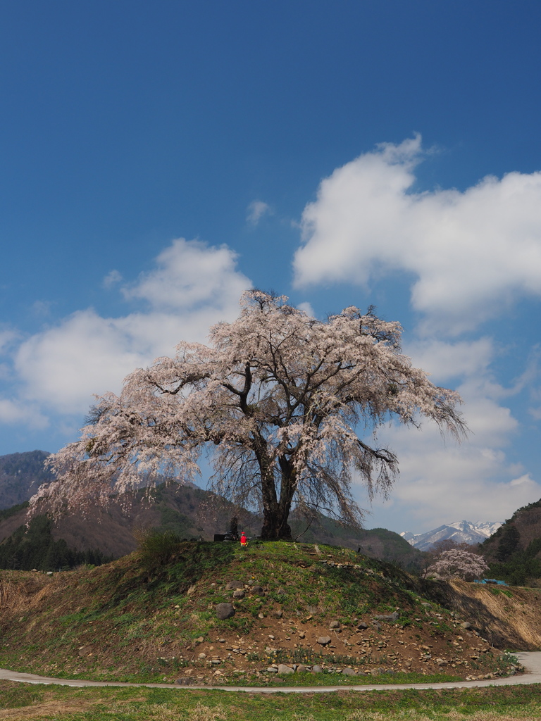 四月の景色