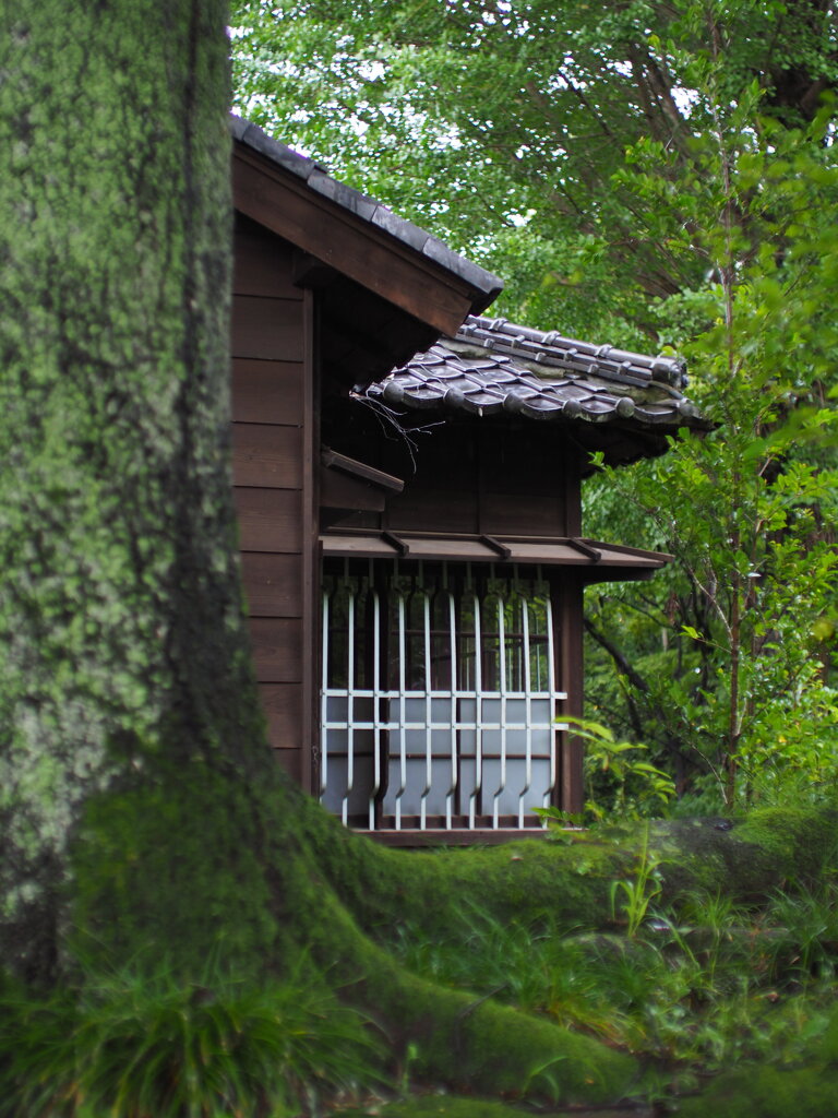 雨の洗心亭