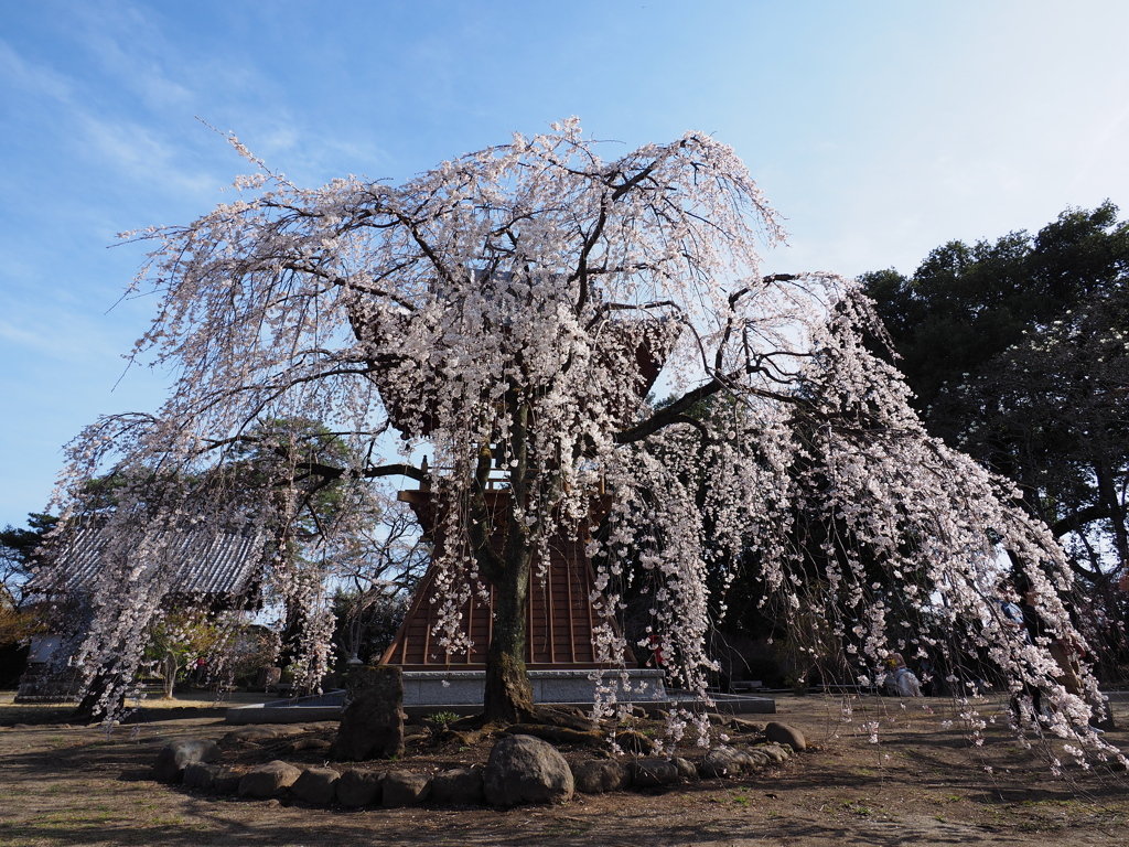 滝の慈眼寺