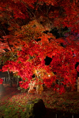 夜の旧下田邸庭園