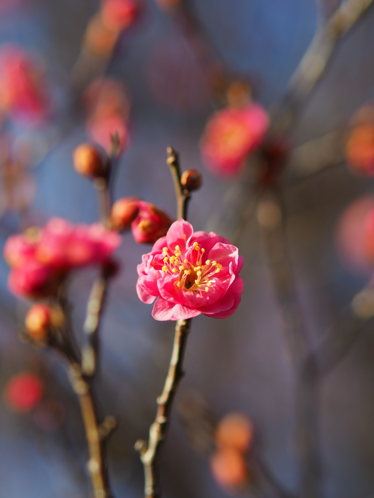 まだ、これから