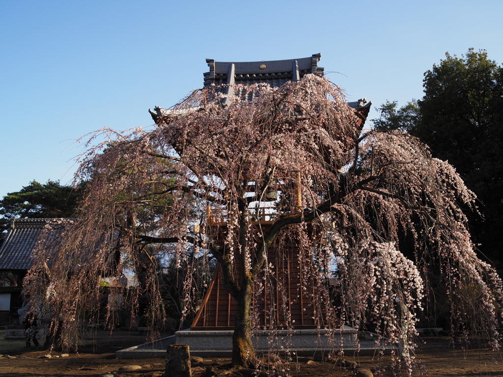 滝の慈眼寺