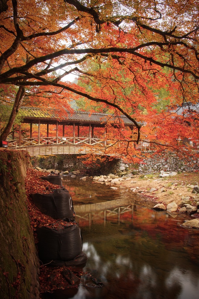 佛通寺の紅葉