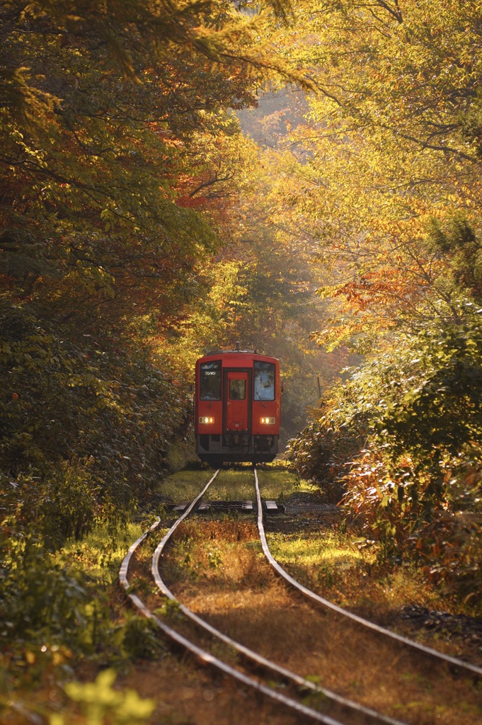 朝陽のトンネル