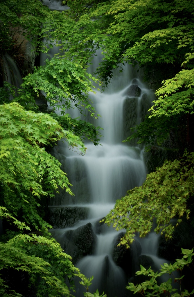 新緑の滝