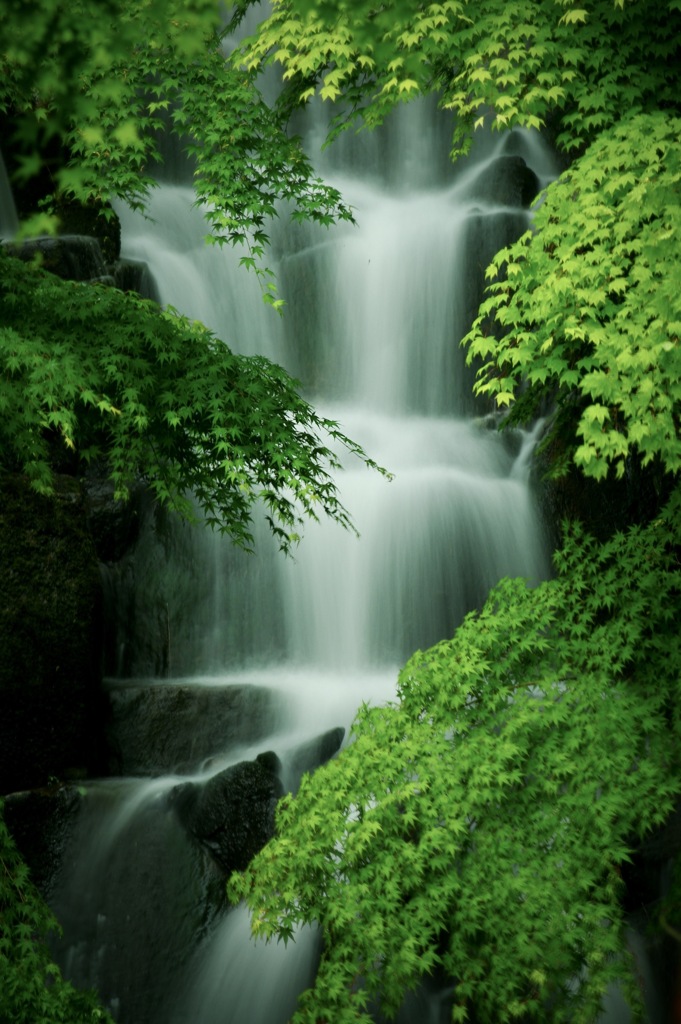 新緑の三段滝