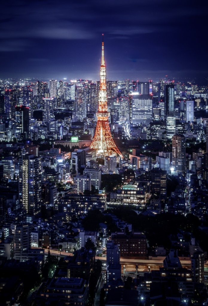 tokyo city  view
