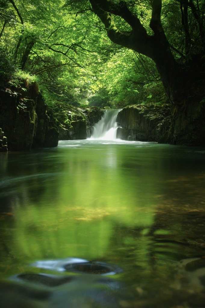 green reflection