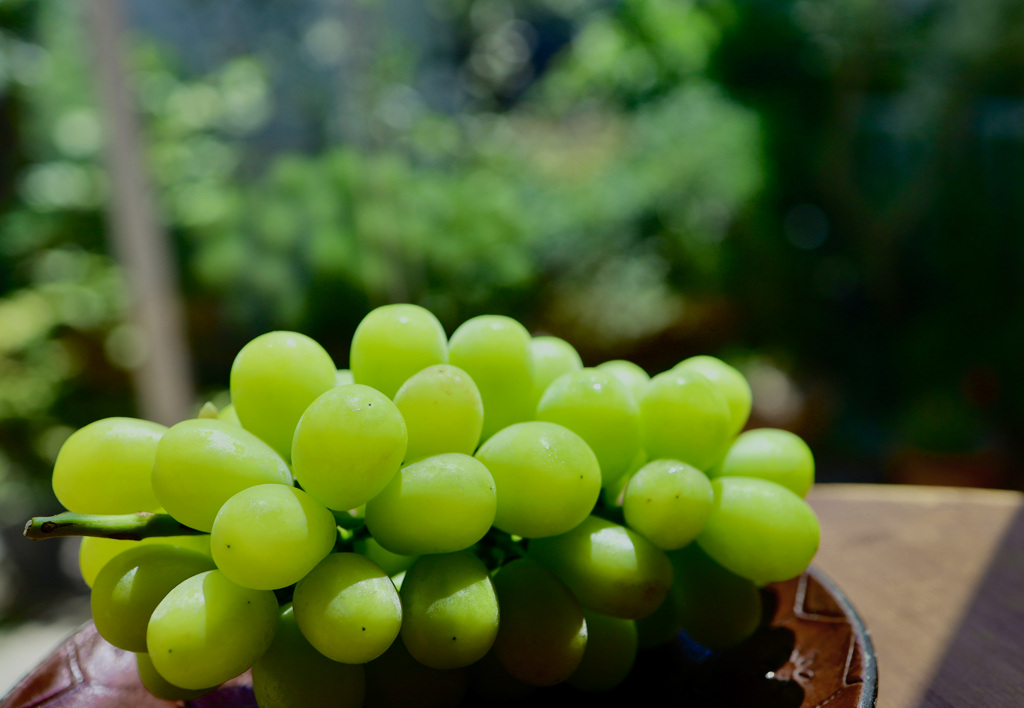 夏のパワー回復に！