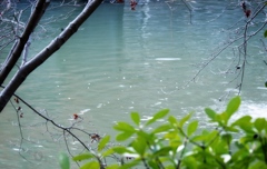 湖沼の風景