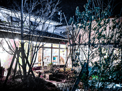 夜賑わう欧風料理店