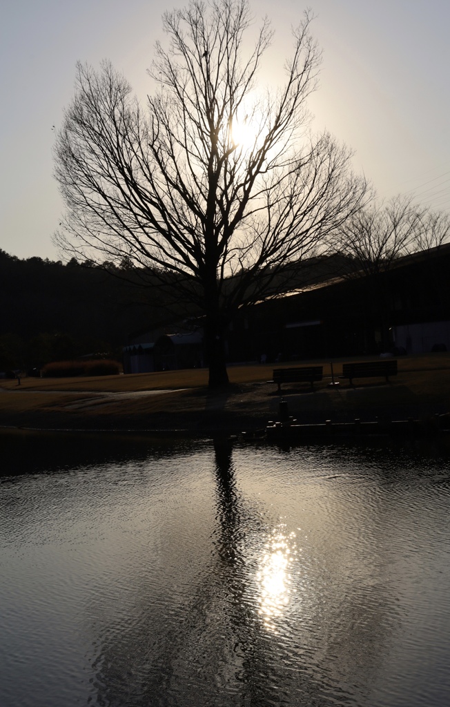 夕暮れ間近の水鏡