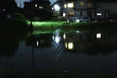 水田がある風景