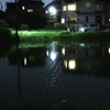水田がある風景