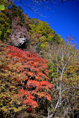 大滝　三階の滝(3)