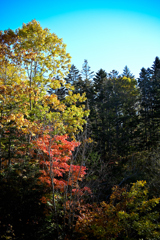 大滝　三階の滝(2)