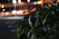 C715D30A-CF50-4CBD-8D0A-71515536D48C