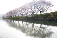1680F64C-3146-40FC-BCA1-5ED6AD1F43C2