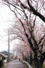 A905DF7C-A80B-44B0-8909-3EAFC15514D0