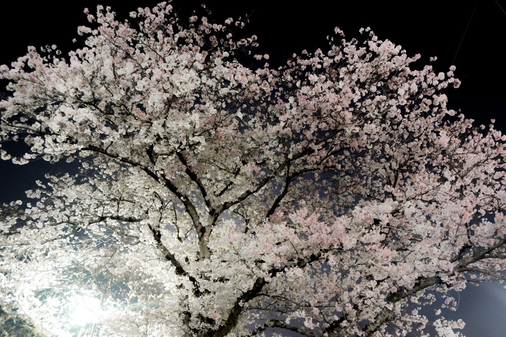 EC1DC160-A71B-4037-BBD5-9960D349D745