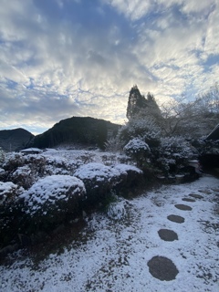 白い朝