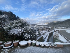 朝の雪