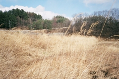 2019.3  yamanasi　hokutosi