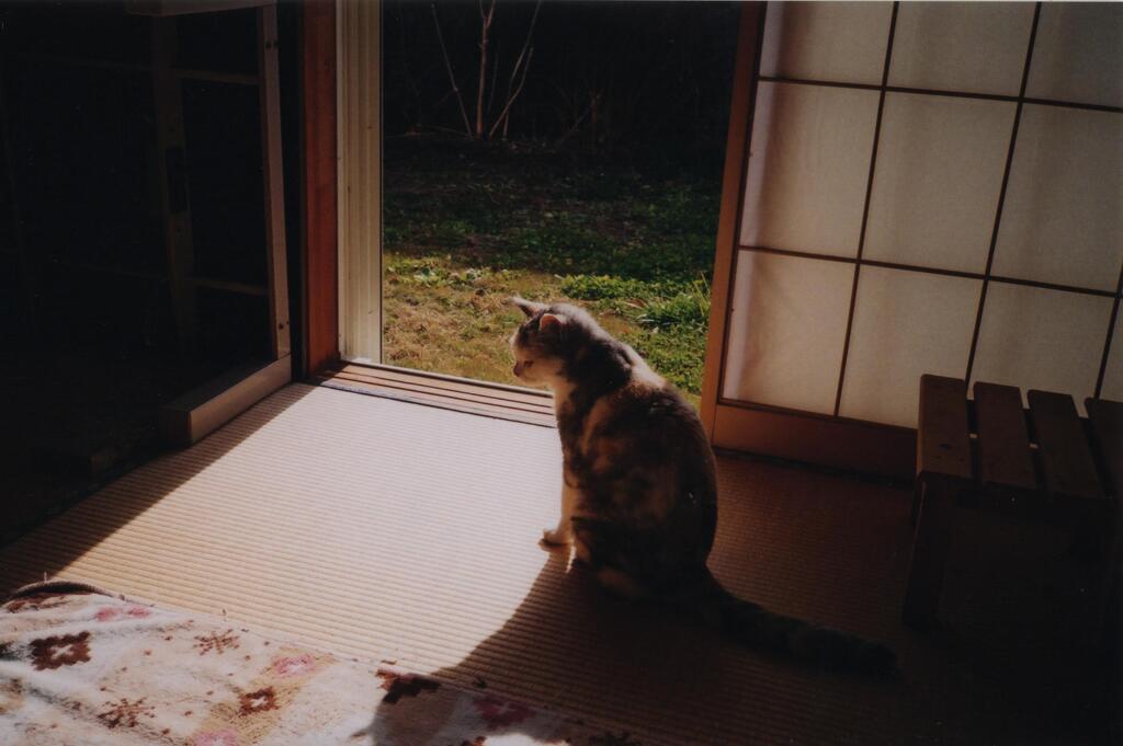 写真にタイトルって難しいね