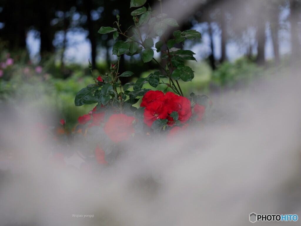 公園の隅っこでコッソリ❤️