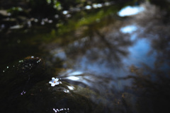 水面
