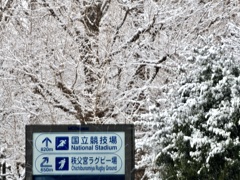 恨み雪