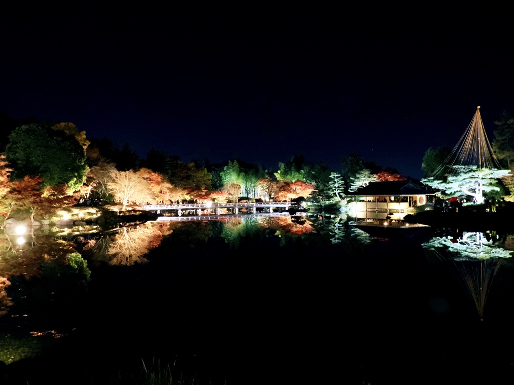 秋の夜散歩2025　日本庭園3