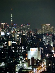 川崎市役所スカイデッキから見るスカイツリー