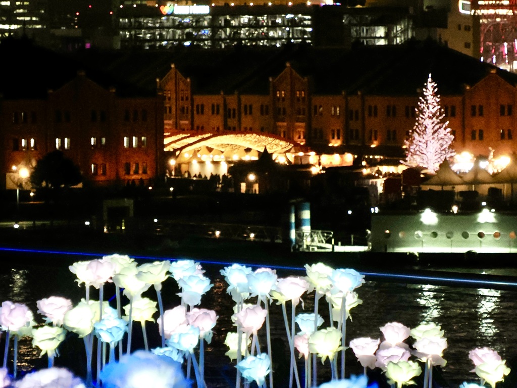 光る花・赤レンガ倉庫バージョン