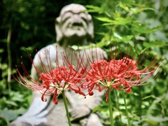 彼岸花と羅漢像
