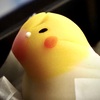 美味しいオカメインコ