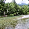 梓川と立ち枯れの木