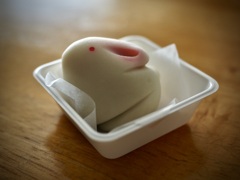美味しいうさぎさん