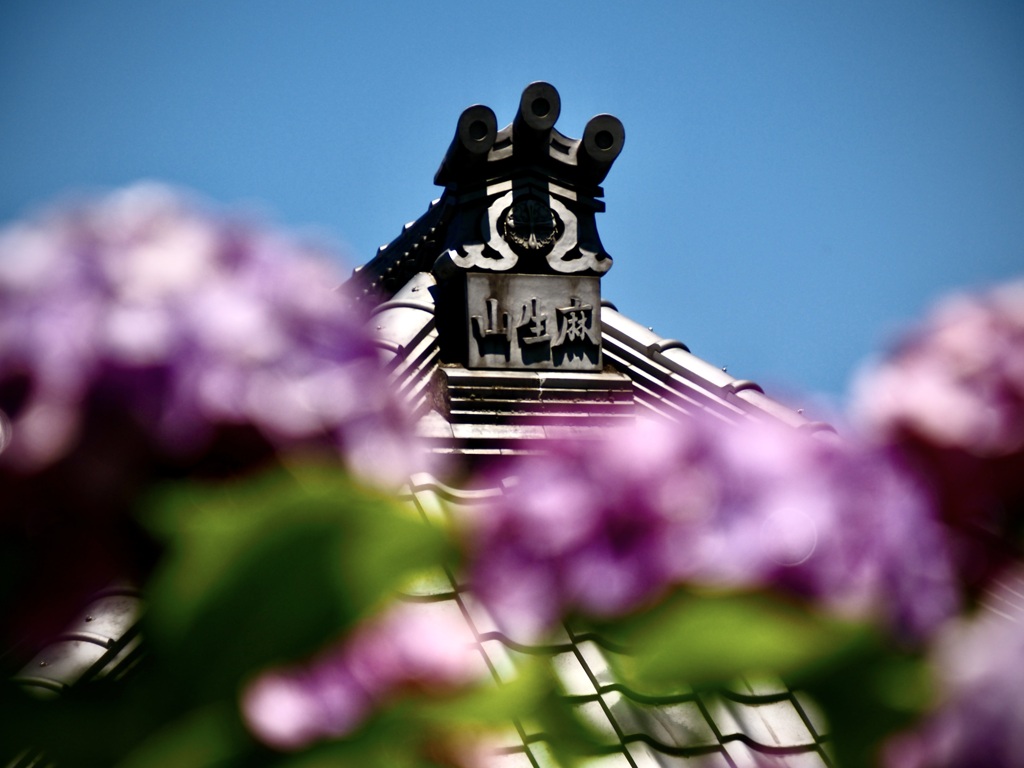 麻生山浄慶寺2
