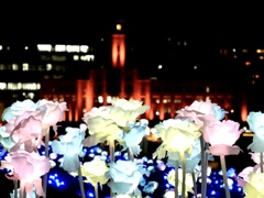 光る花・クィーンの塔バージョン