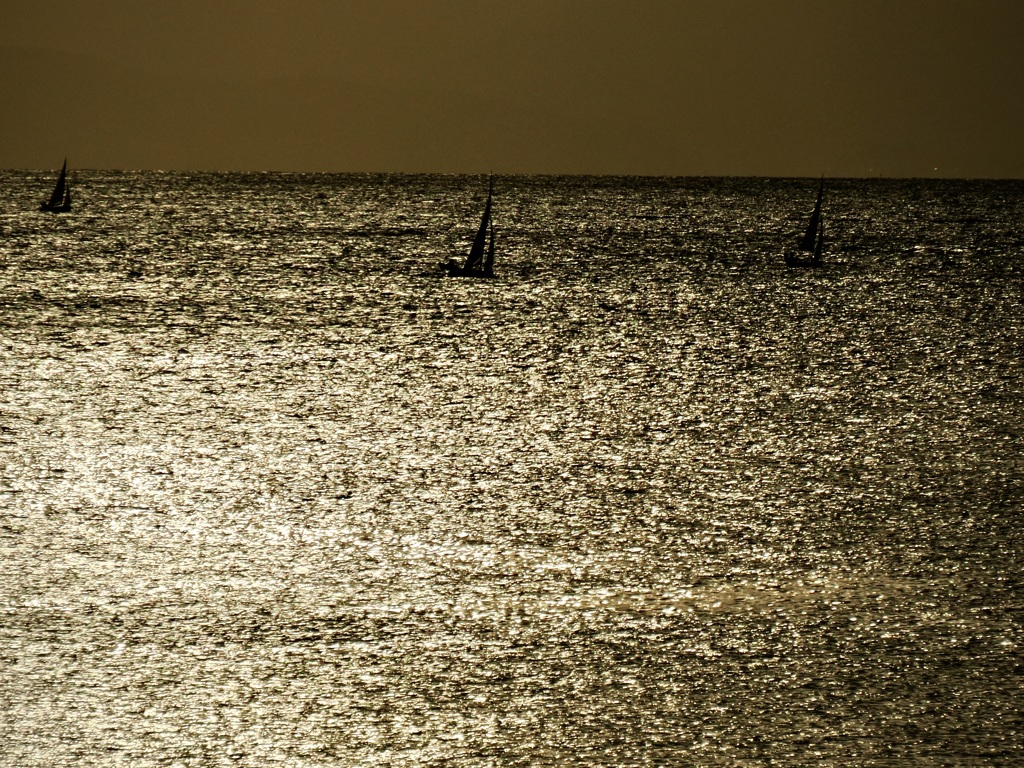 黄金色に染まる海