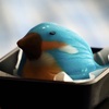 美味しいカワセミさん
