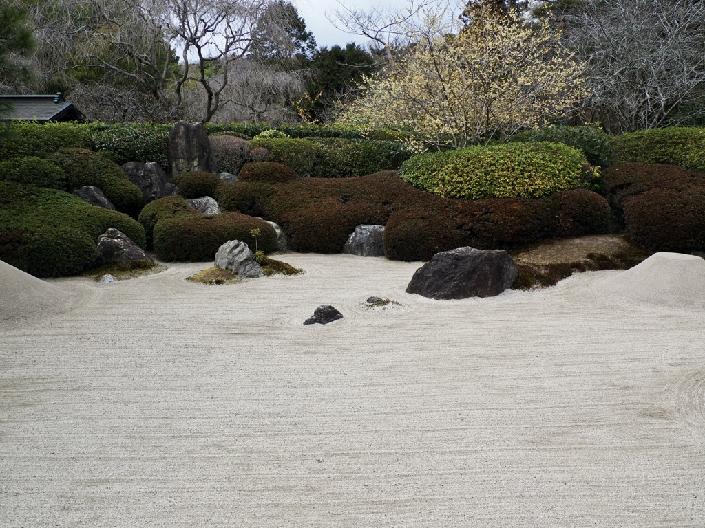 明月院枯山水庭園